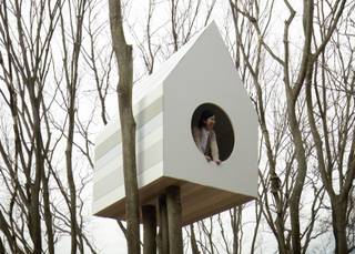 Illustration for article titled These Are The Most Amazing Tree Houses Ever